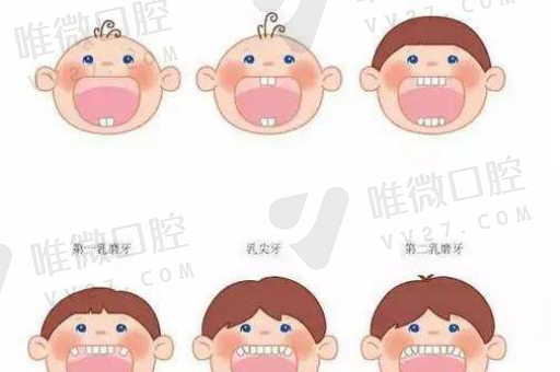 窝沟封闭——了解价钱和区别，解答问题锦集(图1)